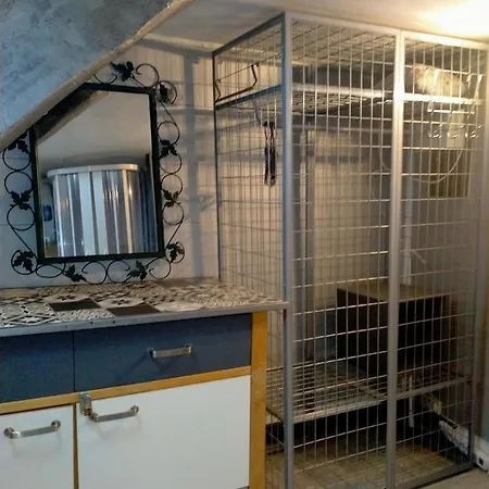 Apartment Au Coeur De Studio